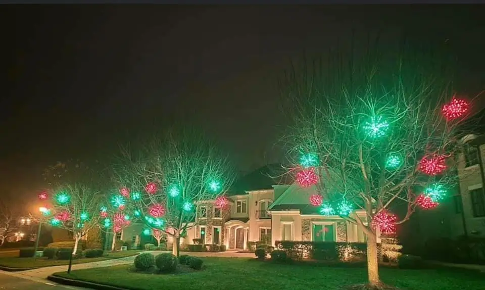 Walter Christmas Lighting Christmas lights in trees