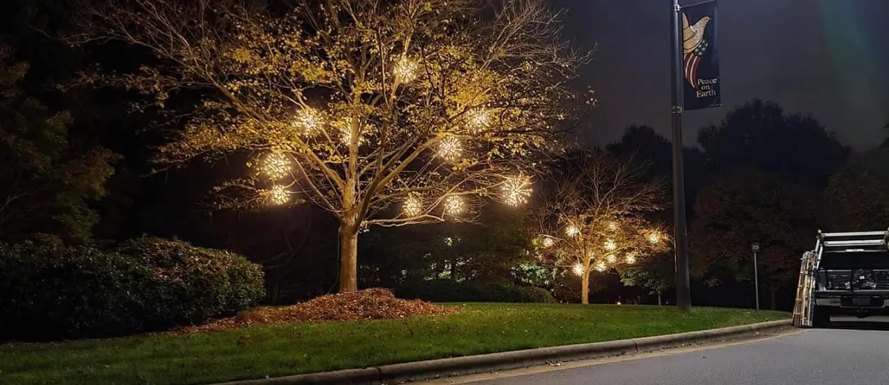Walter Christmas Lighting landscape lighting in trees
